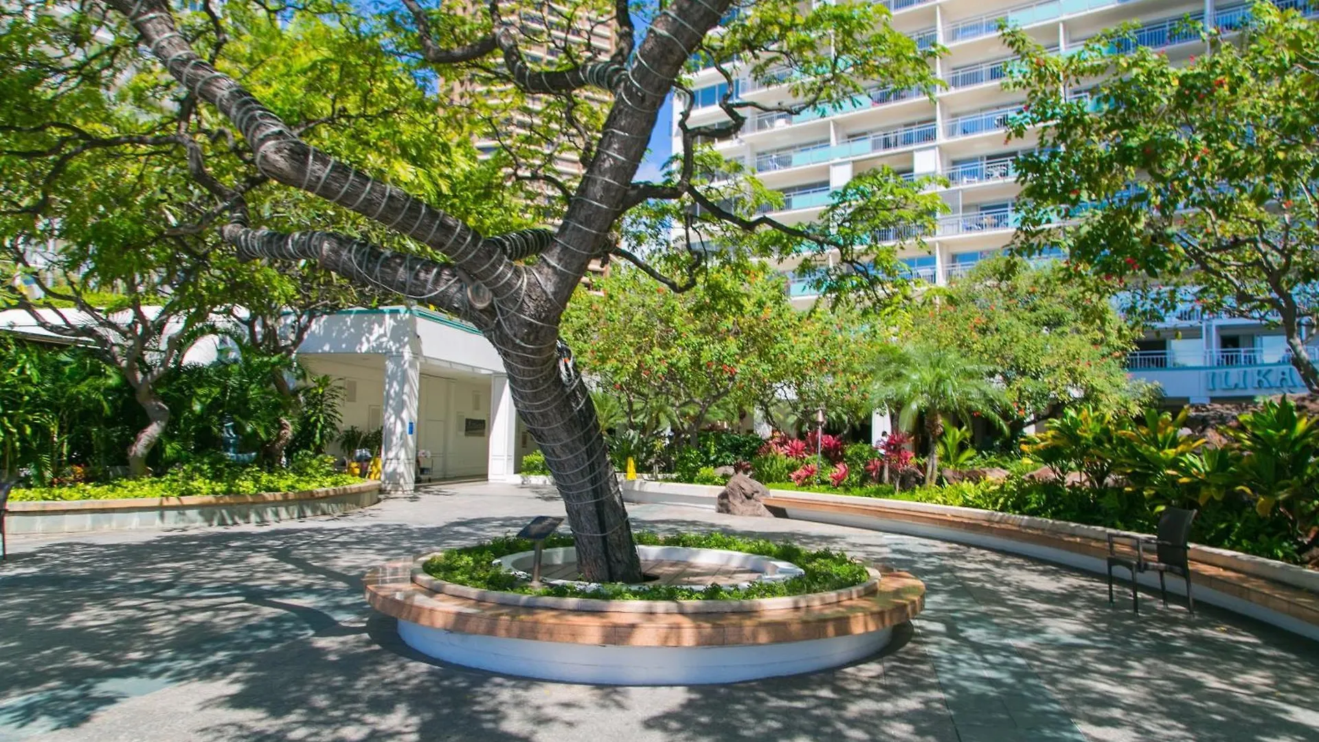 Ilikai Tower 1240 Lagoon View 1Br Apartment Honolulu United States